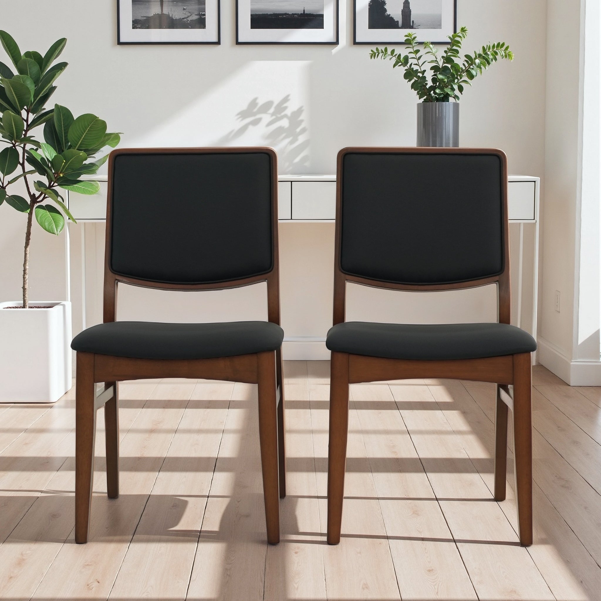 Cary Mid-Century Modern Dining Chairs