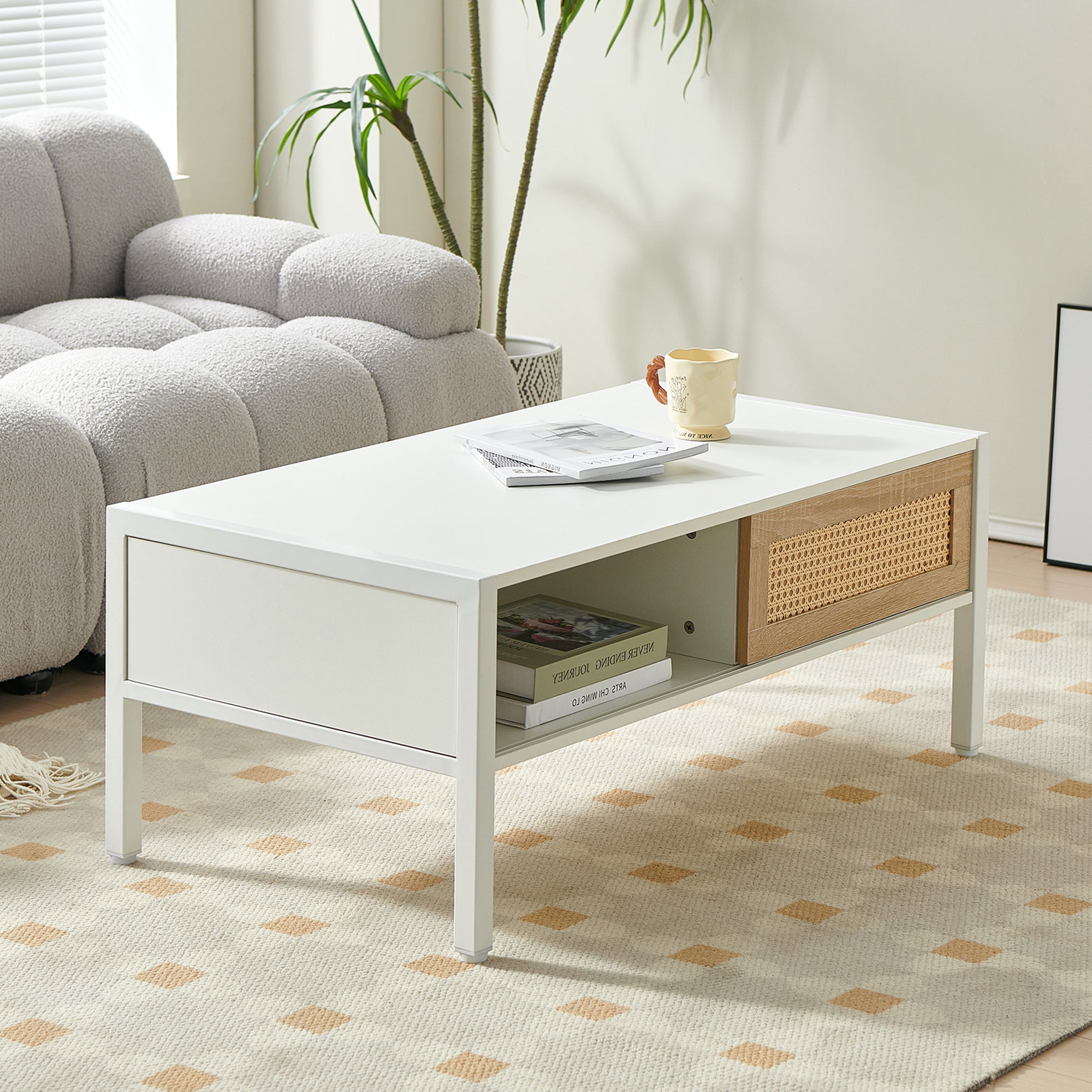 Modern Rattan Coffee Table with Sliding Door